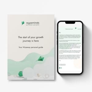 The Wyseway business growth evaluation
